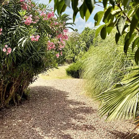 Villa De 4 A Vecchio A 160 M De La Avec Jardin Clos Et Wifi *