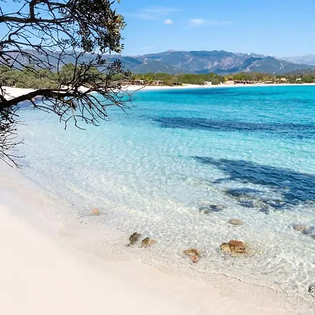 Charmante A Porto-vecchio Avec Vue Sur La Montagne. ポルトヴェッキオ